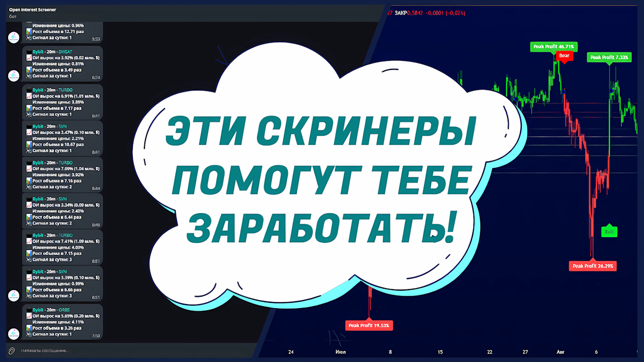 Как эффективно использовать торговые скринеры: Мануал для трейдеров